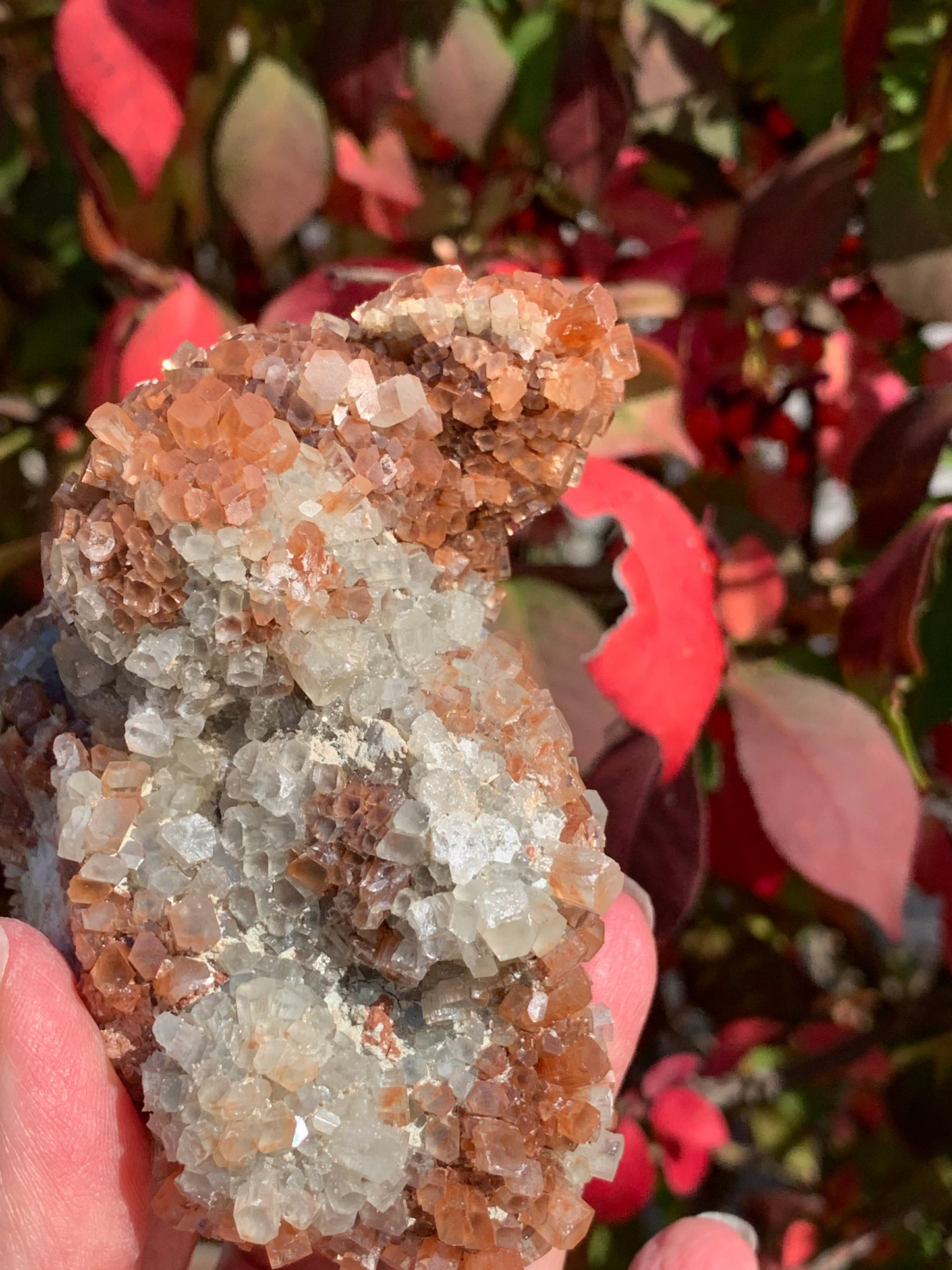 Star Aragonite Cluster