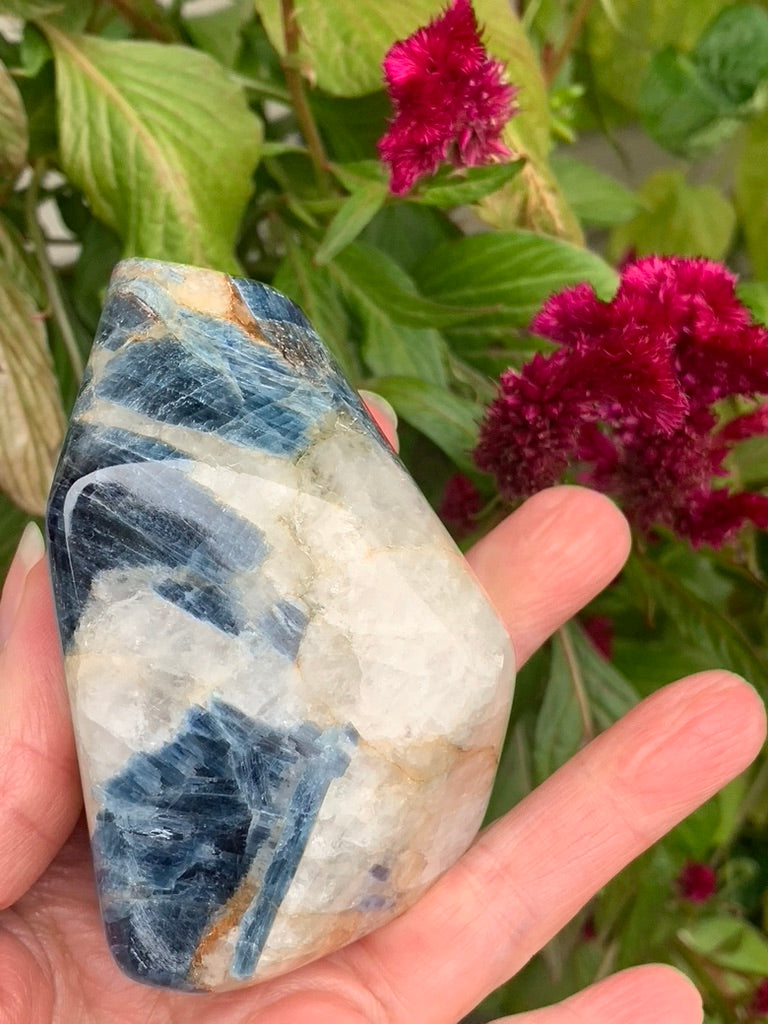 Blue  Kyanite with Quartz Free Form - India