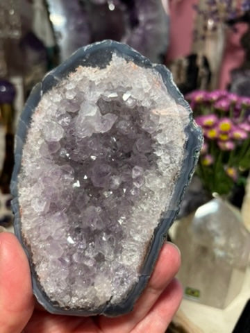 Amethyst Cluster | Brazil