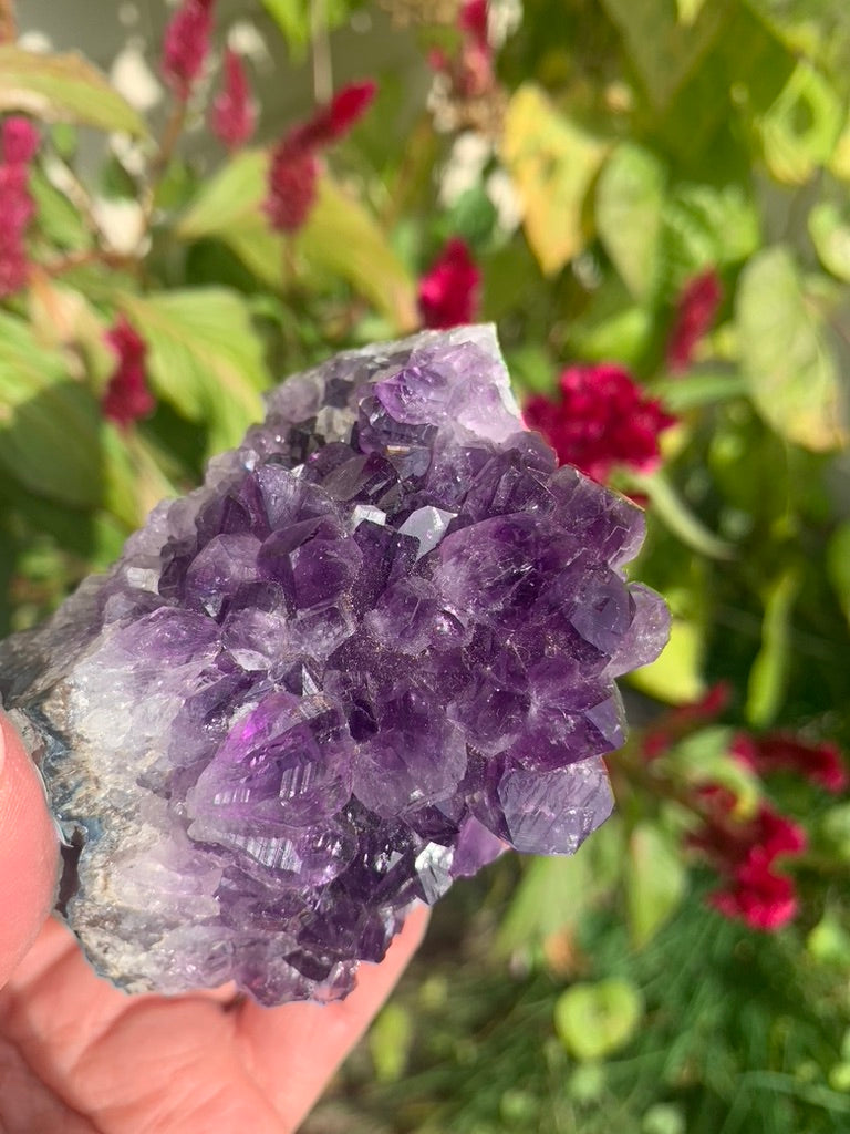 Amethyst Cluster