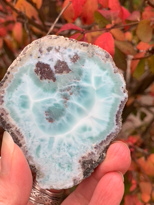 Larimar Slice - Polished one side