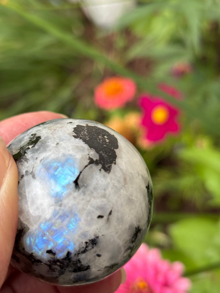 Rainbow Moonstone - Sphere | India