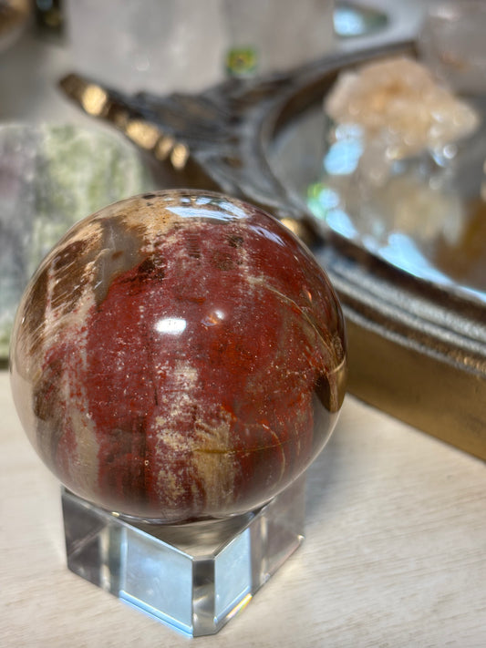 Petrified Wood Sphere - Madagascar