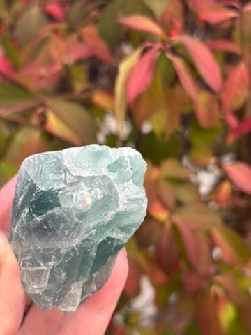 Fluorite - Mexico