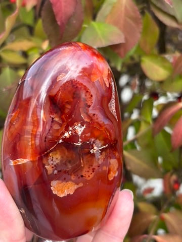 Carnelian Free Form - Madagascar