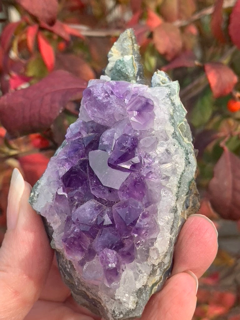 Amethyst Cluster with Goethite Inclusions