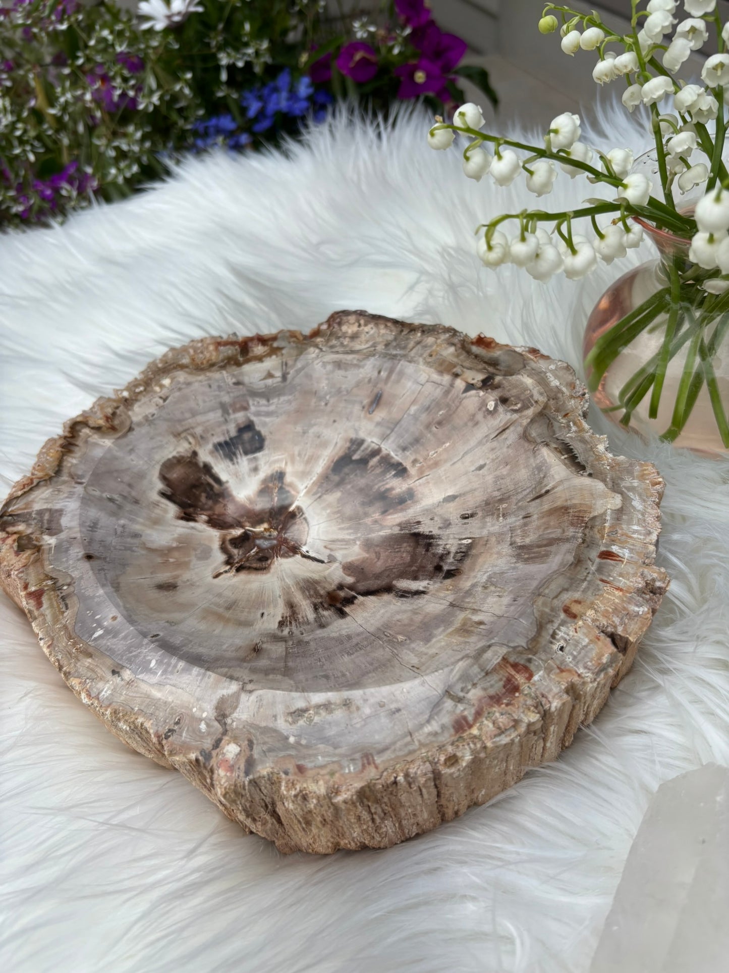 Petrified Wood Bowl  - Madagascar