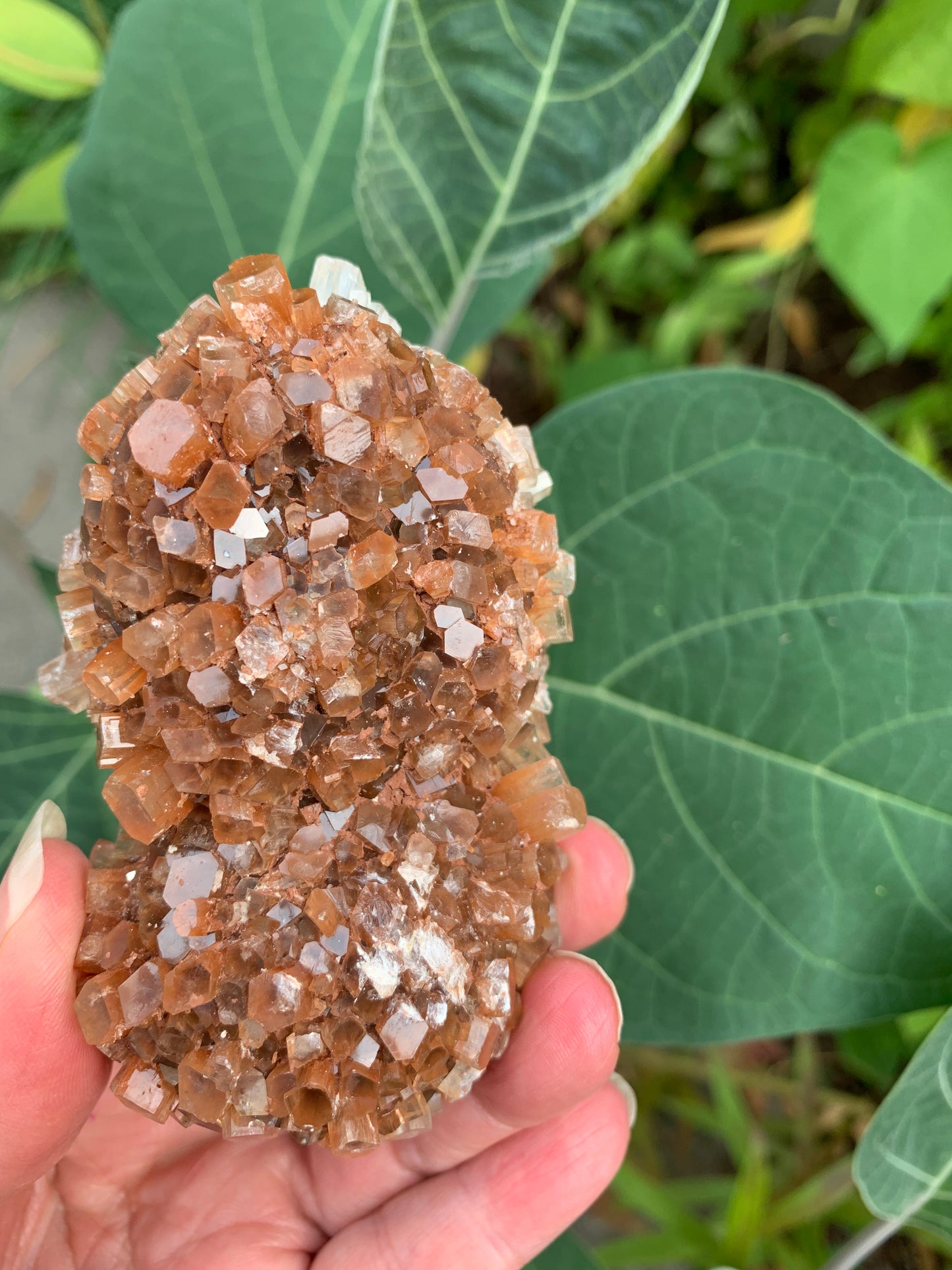 Star Aragonite Cluster