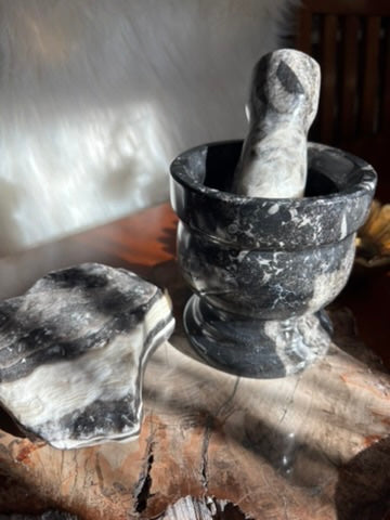 Orthoceras | Mortar and Pestle