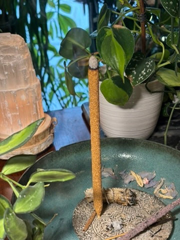 Palo Santo Incense - Peru