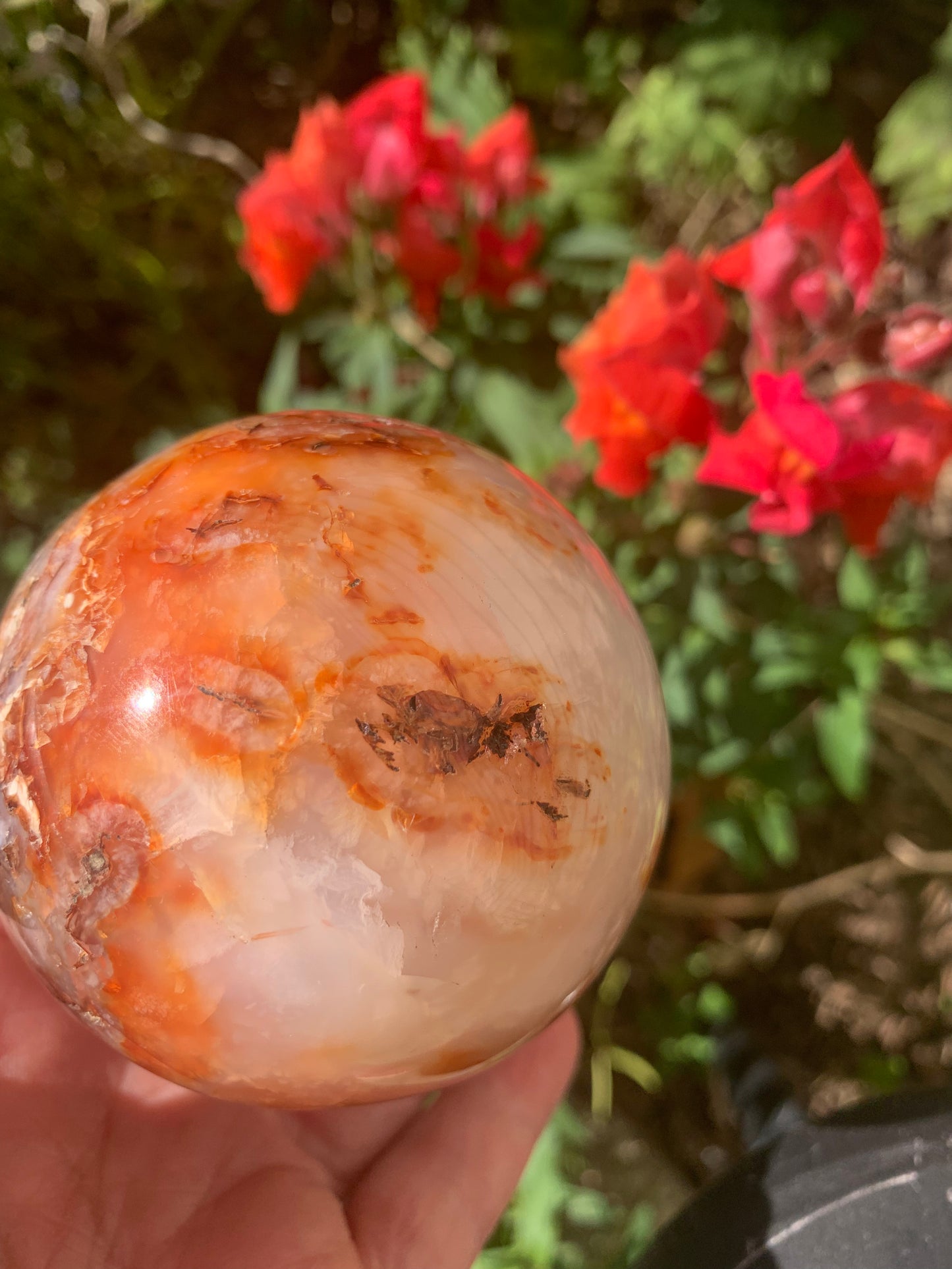 Carnelian Sphere - Madagascar