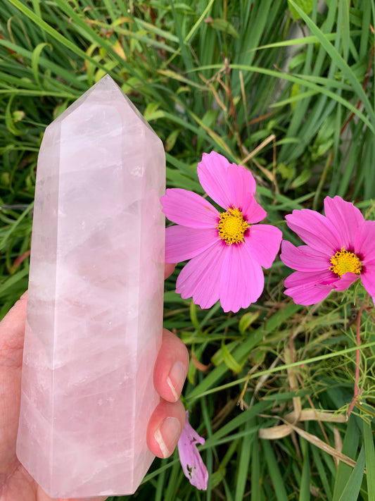 Rose Quartz Generator - Madagascar