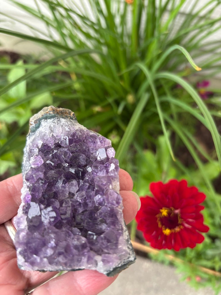 Amethyst Cluster | Uruguay