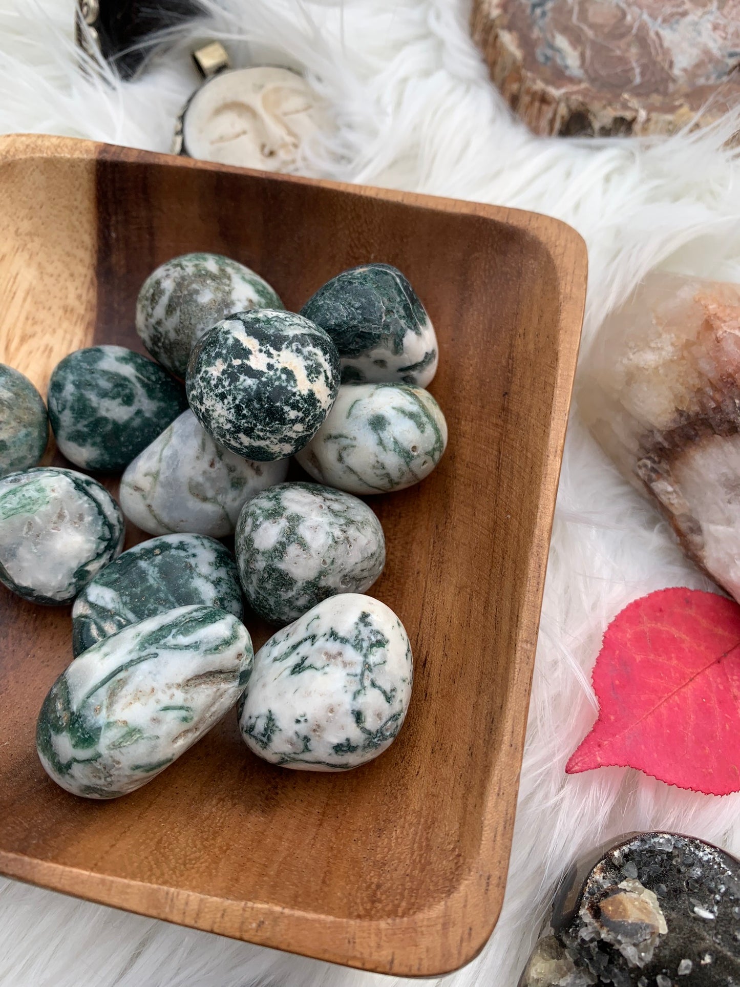Green Tree Agate- Tumble