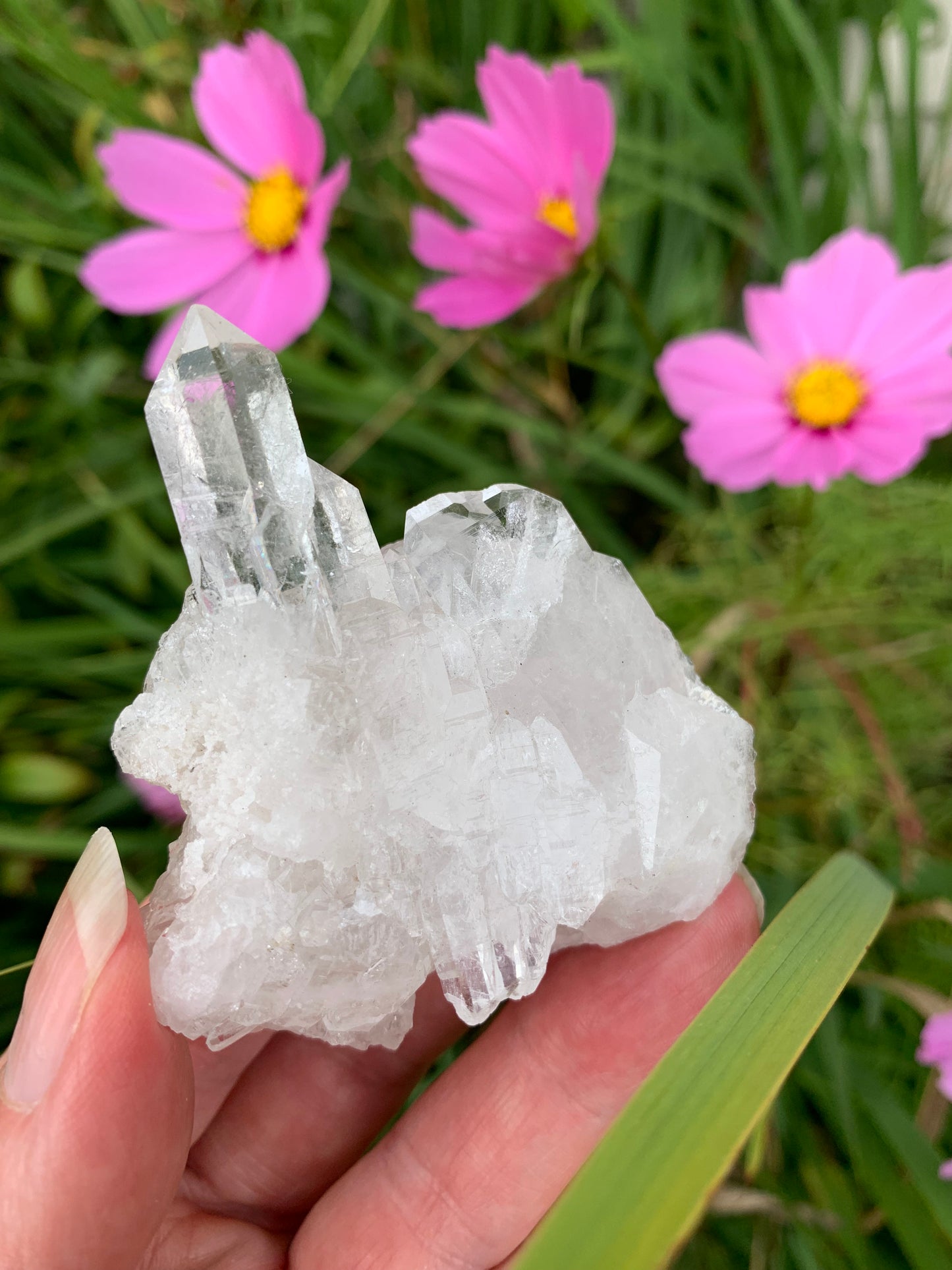 Faden Quartz Cluster