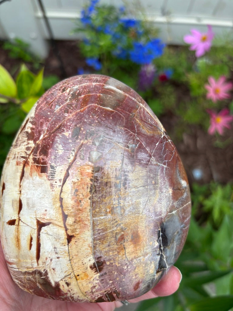 Petrified Wood - Free Form - Madagascar