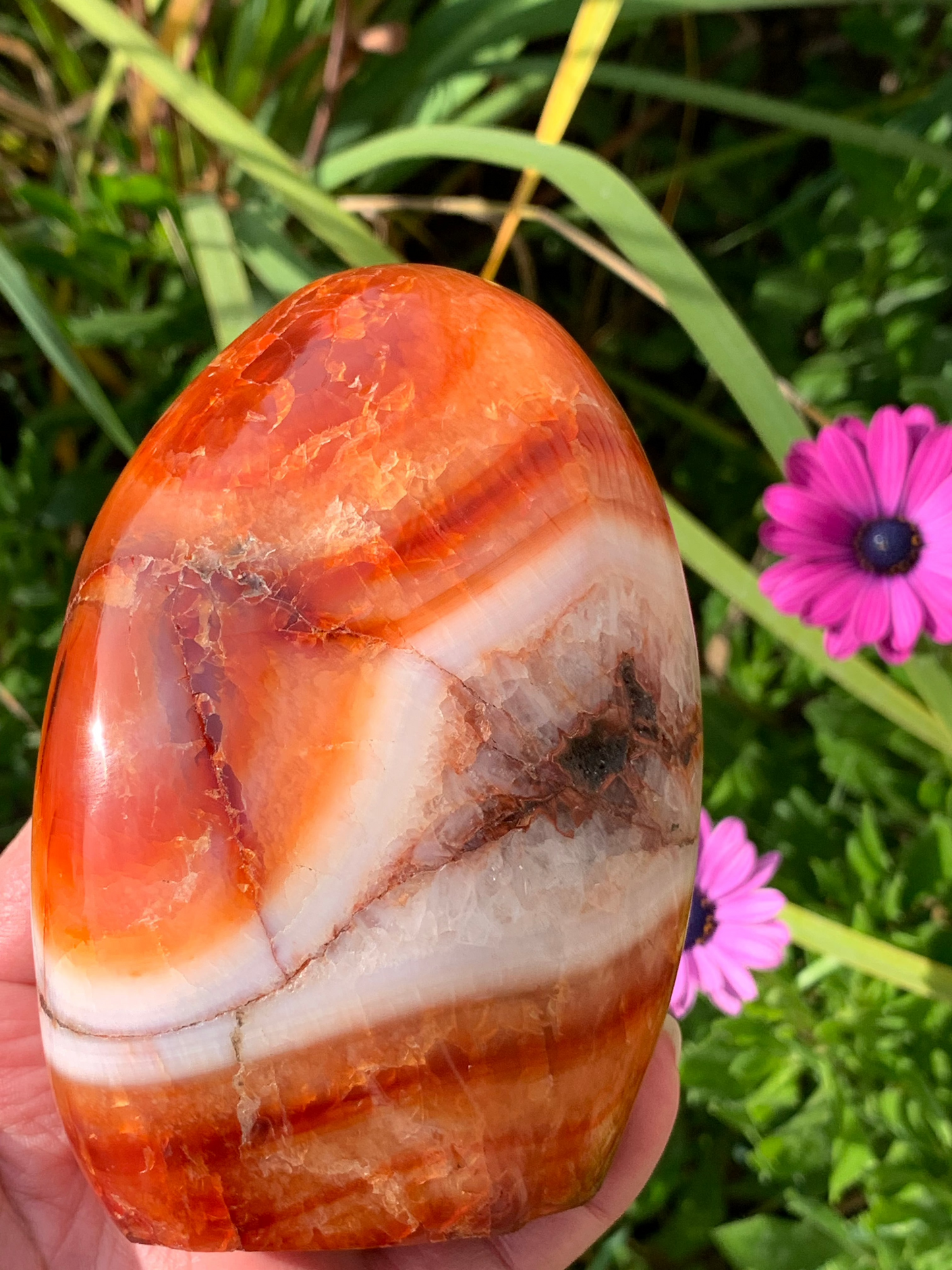 Carnelian Free Form - Madagascar