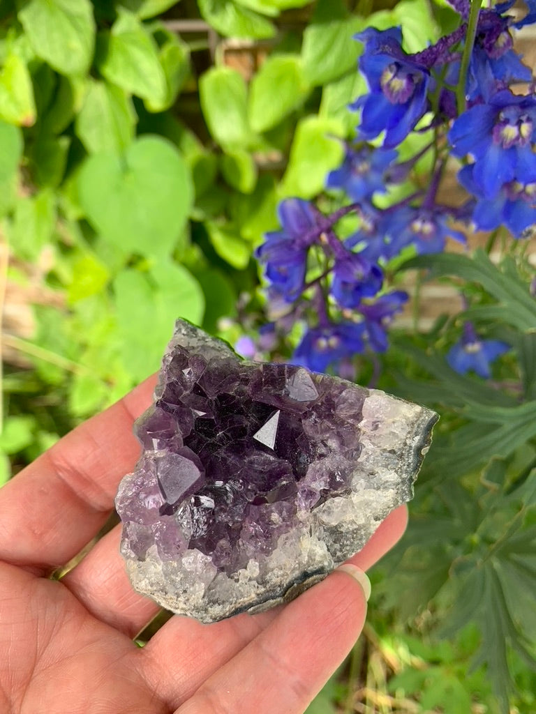 Amethyst Cluster