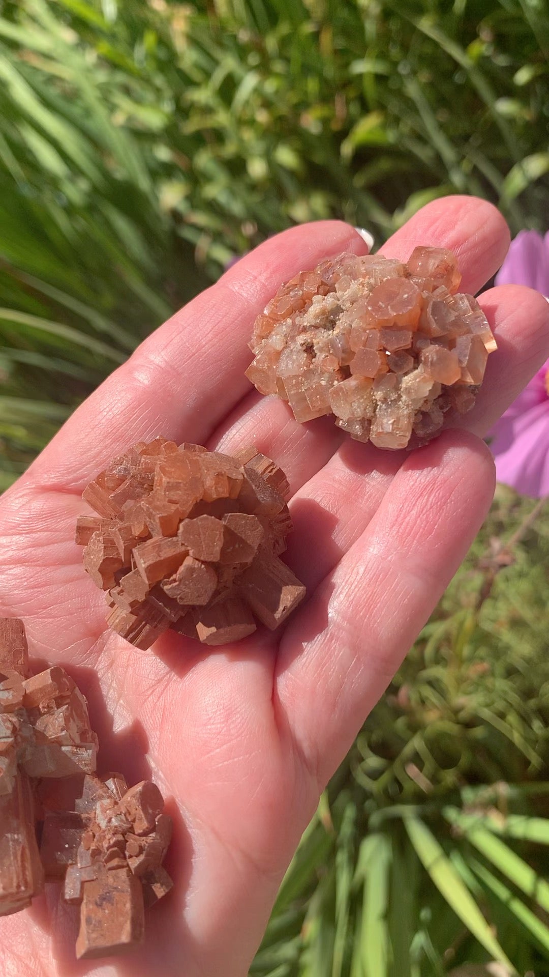 Star Aragonite Cluster