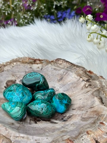 Malachite Chrysocolla - tumble - Congo