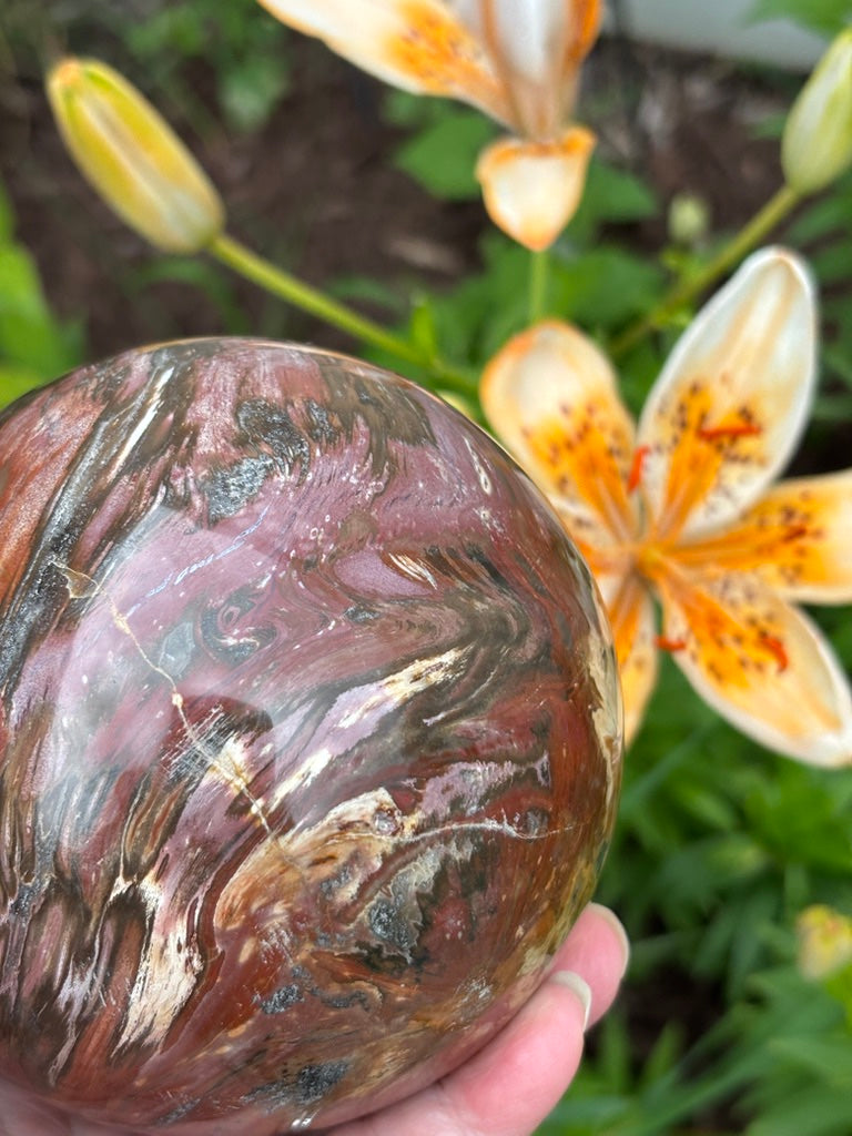 Petrified Wood Sphere - Madagascar