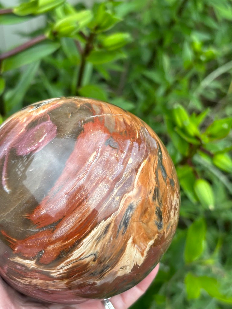 Petrified Wood Sphere - Madagascar