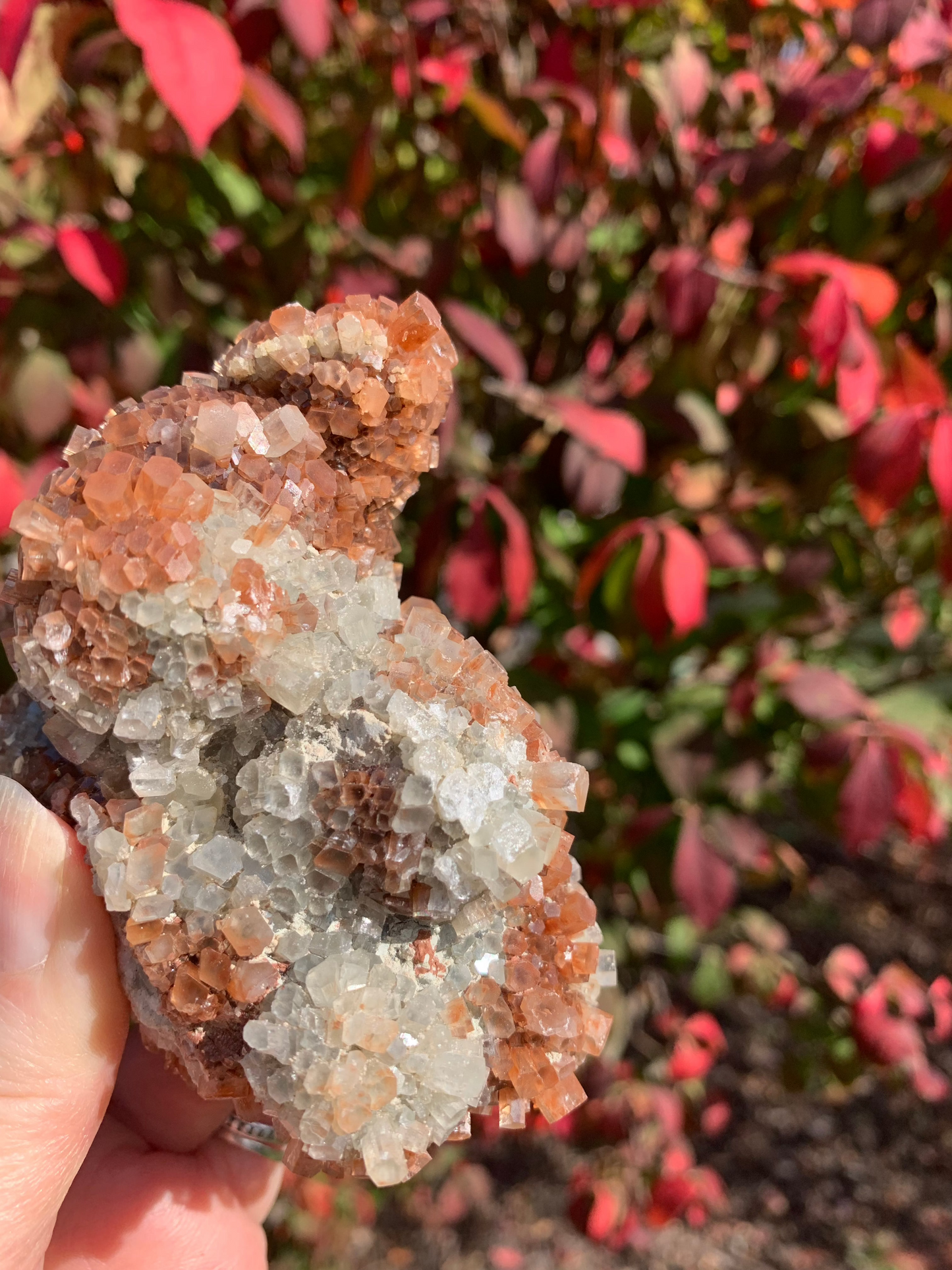 Star Aragonite Cluster