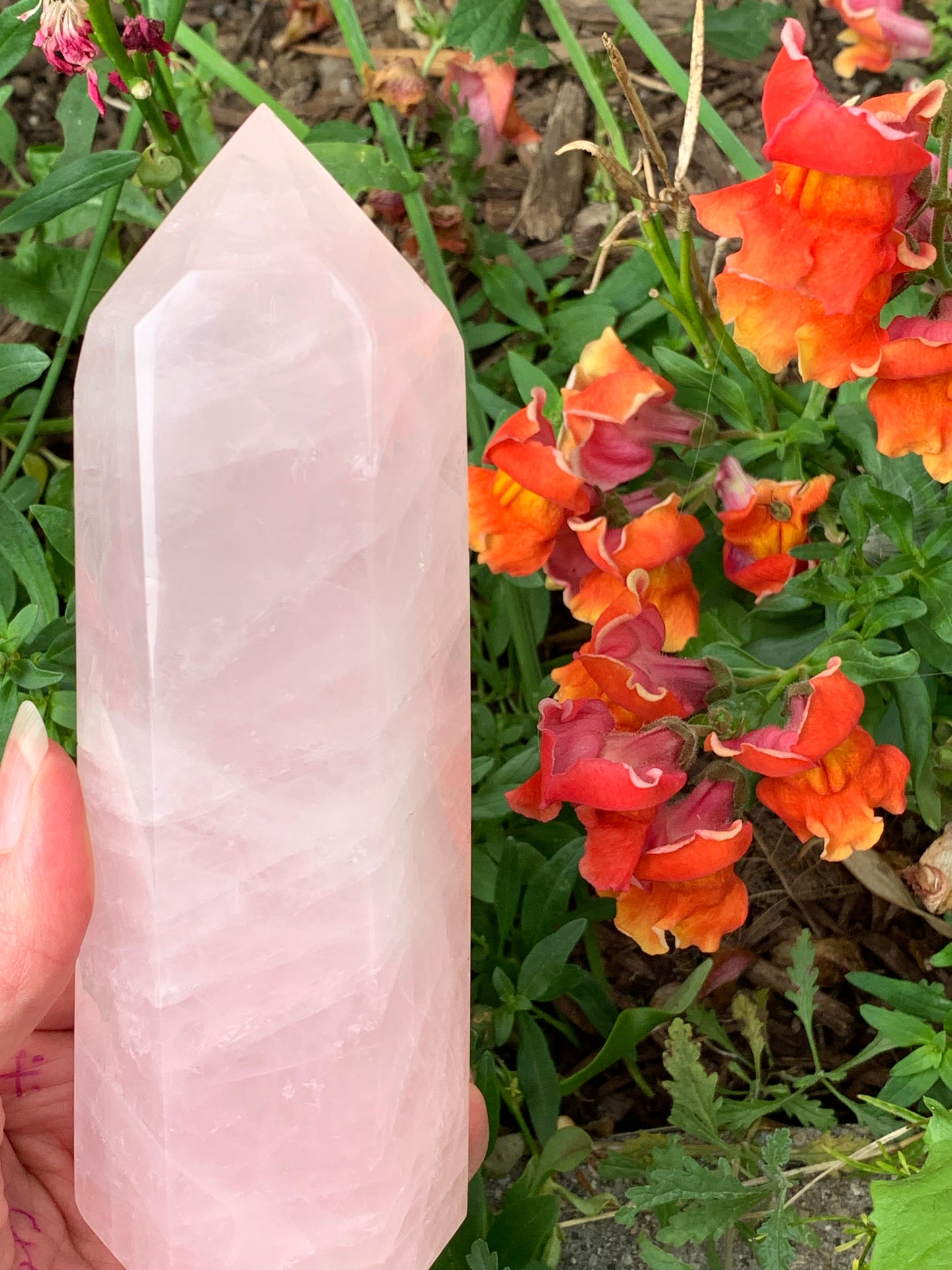 Rose Quartz Generator - Madagascar