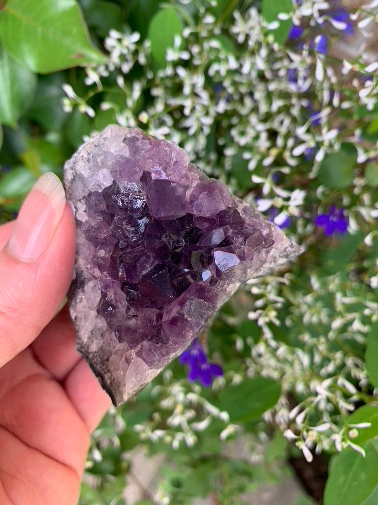 Amethyst Cluster