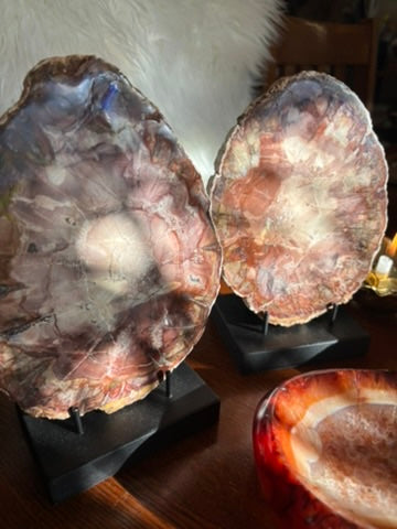 Petrified Wood charging plate set - Madagascar