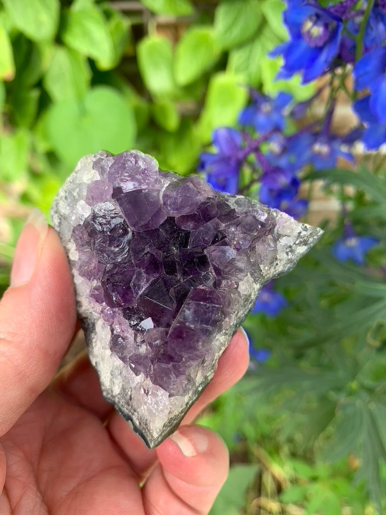 Amethyst Cluster