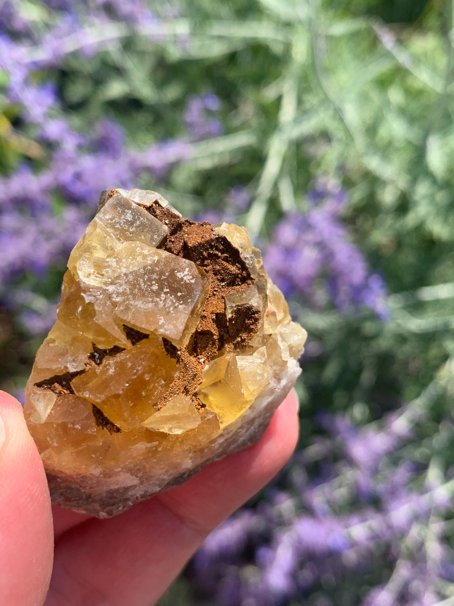 Cubic Yellow Fluorite cluster