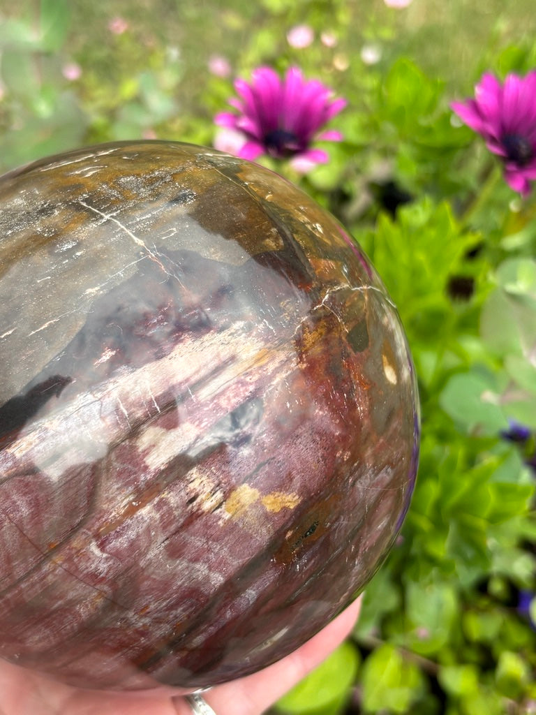 Petrified Wood Sphere - Madagascar