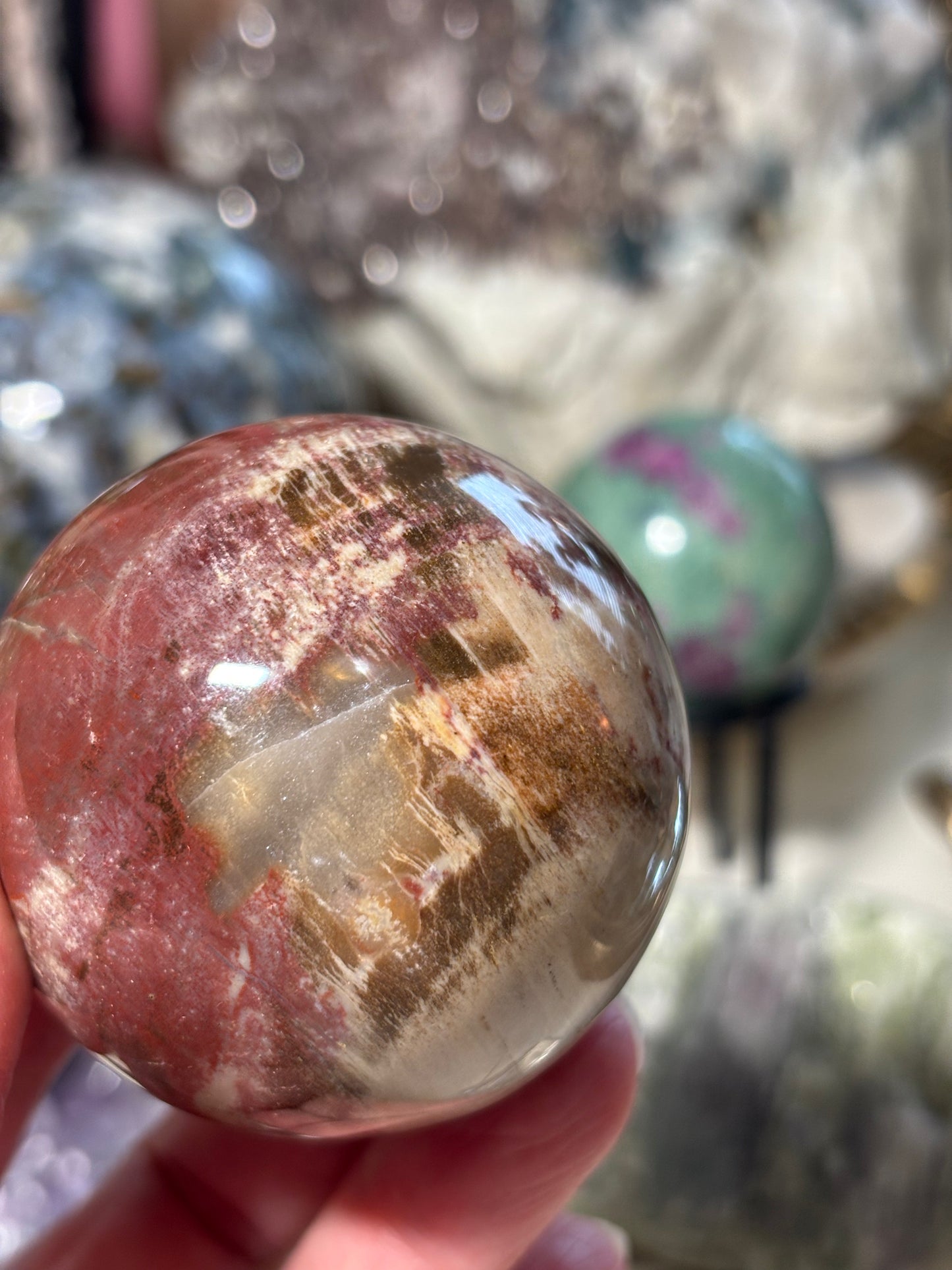 Petrified Wood Sphere - Madagascar