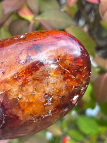 Carnelian Free Form - Madagascar
