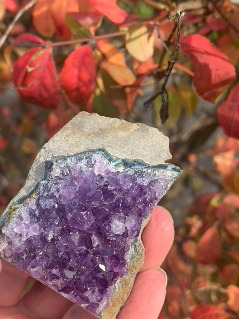 Amethyst Cluster cut bottom