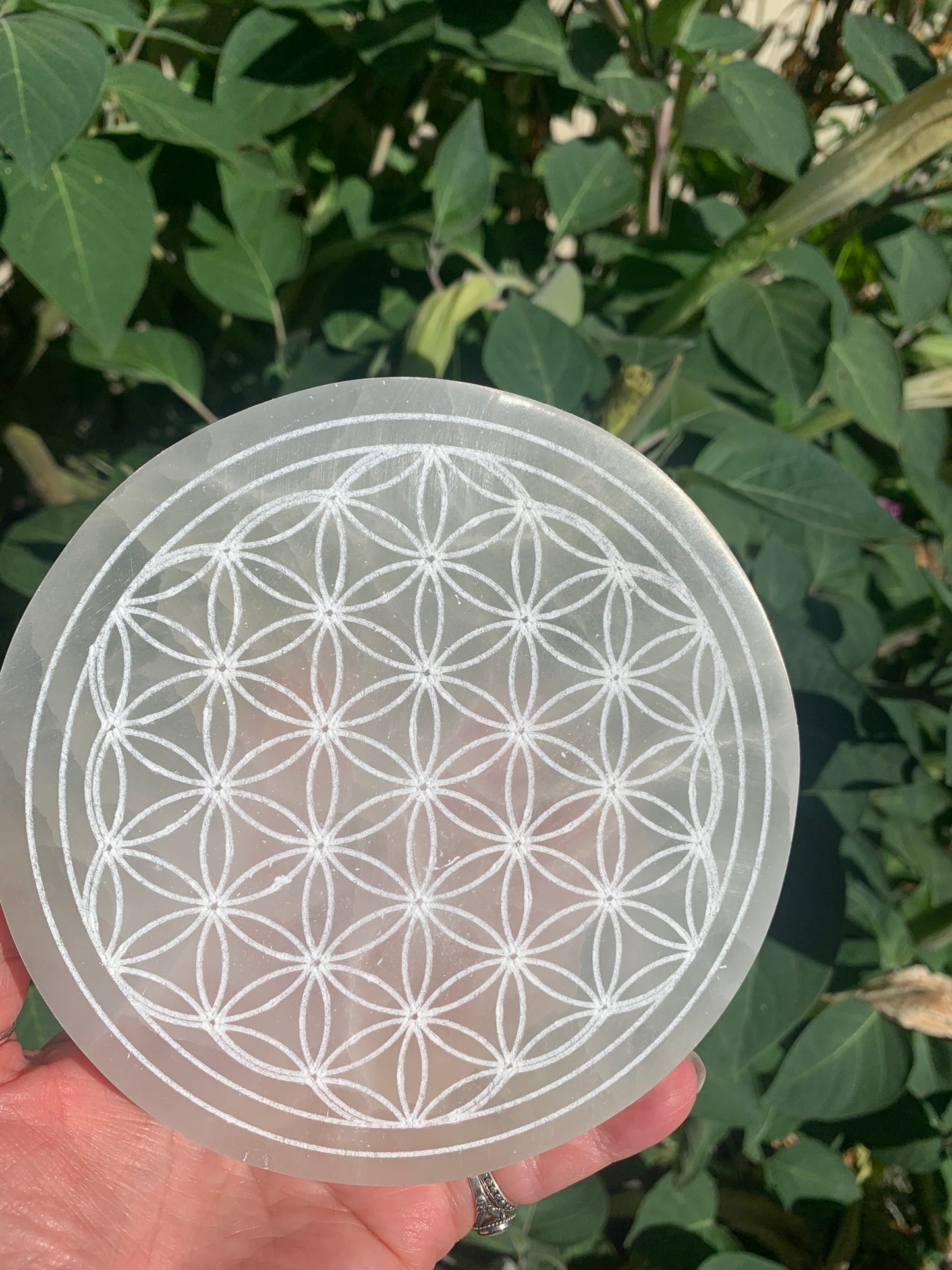 Selenite Flower of Life | Charging Plate - Grid