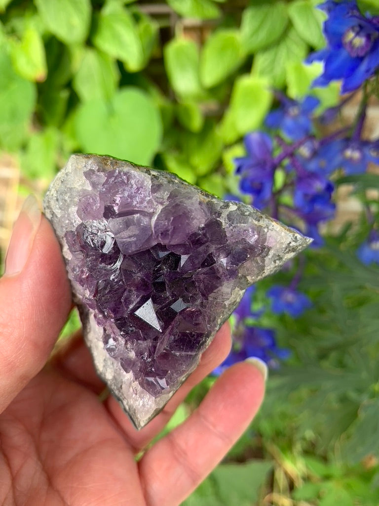 Amethyst Cluster