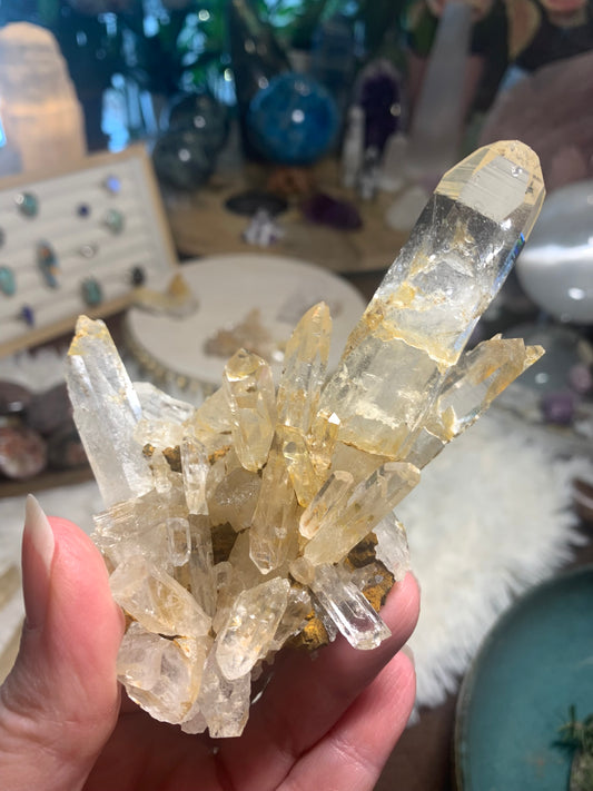 Columbian Lemurian Cluster