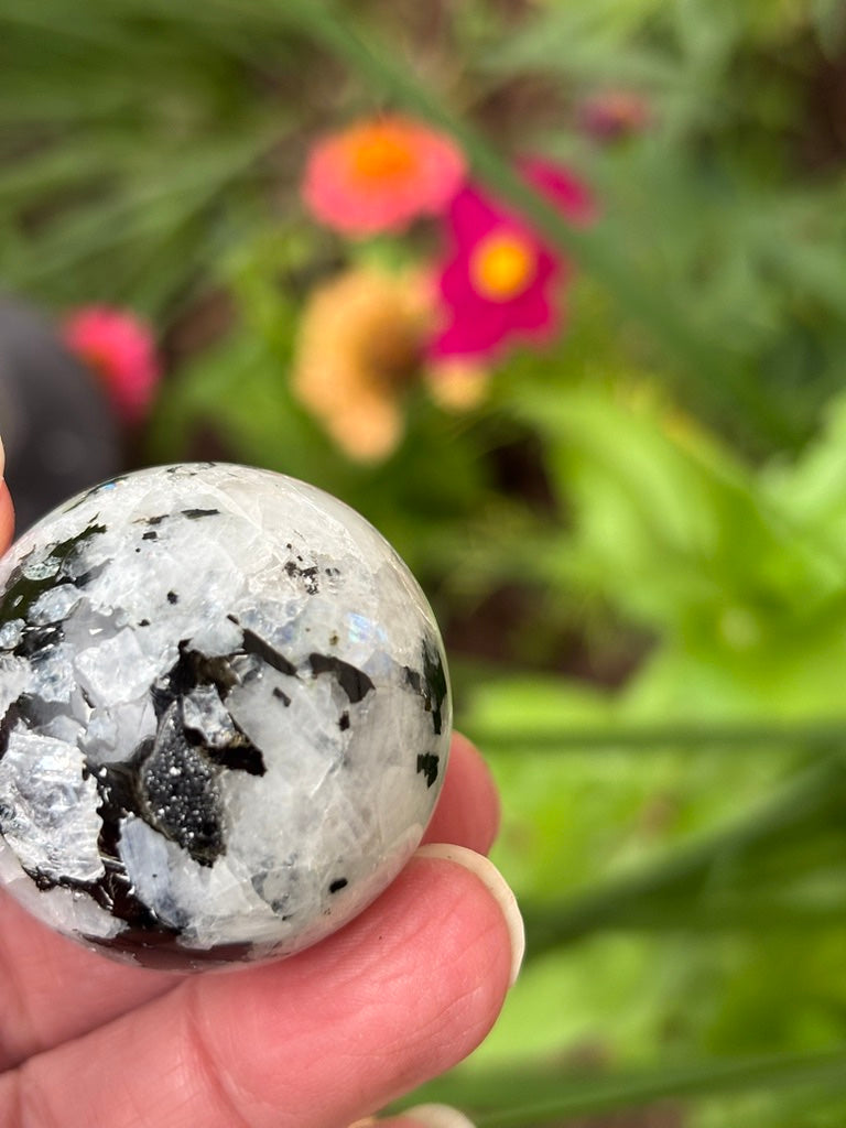 Rainbow Moonstone - Sphere | India