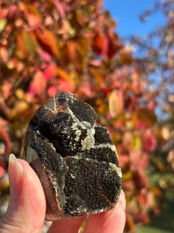 Septarian Druzy Dragon Egg - Madagascar