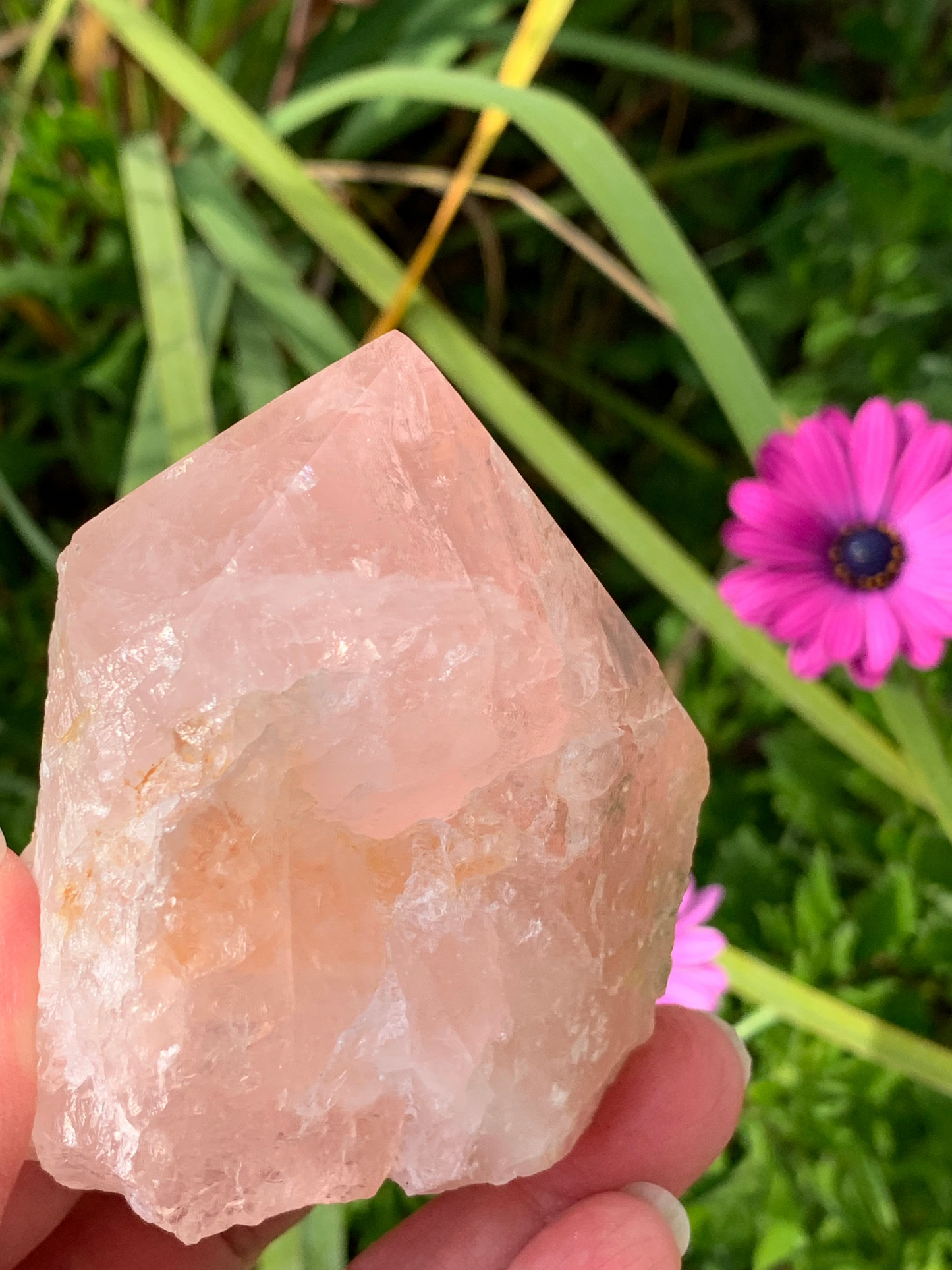 Rose Quartz Point with Golden Healer Inclusions