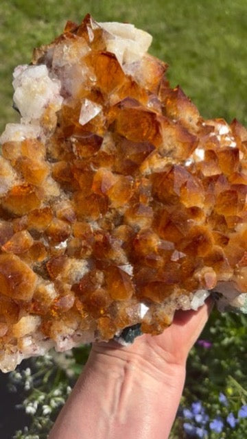Golden Amethyst - Citrine Cluster - Brazil