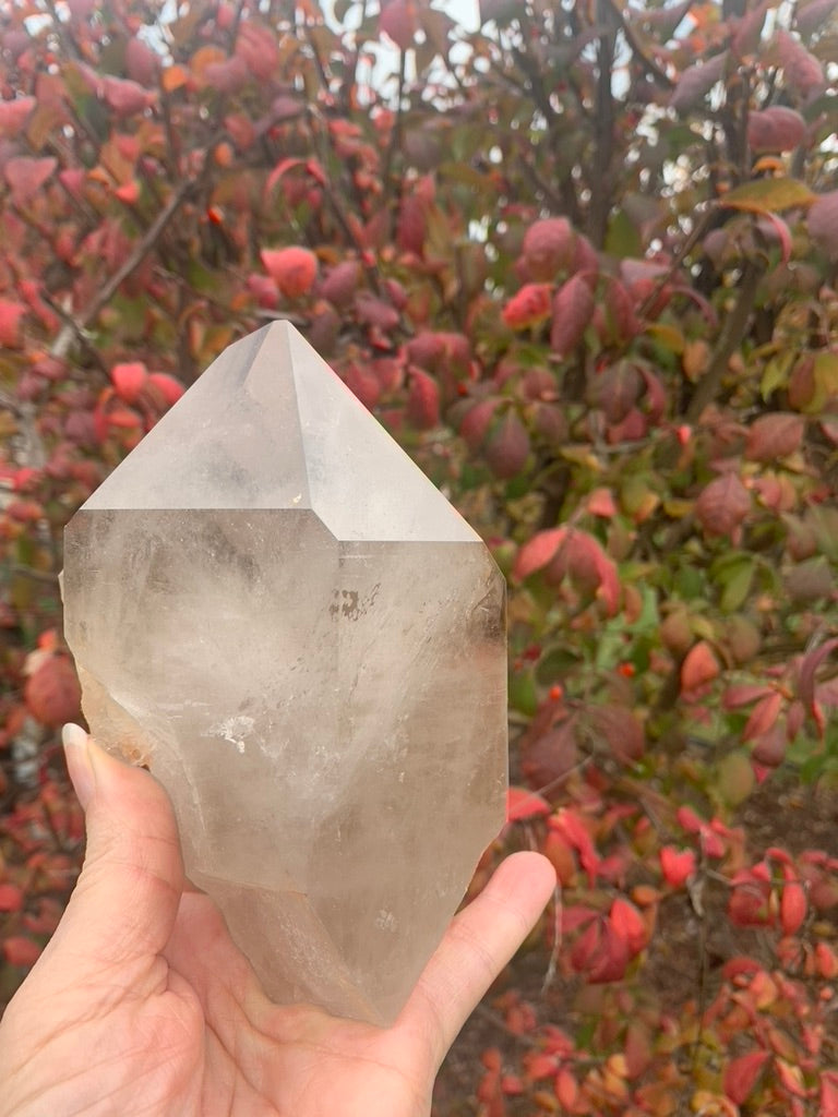 Smokey Lemurian Quartz Point