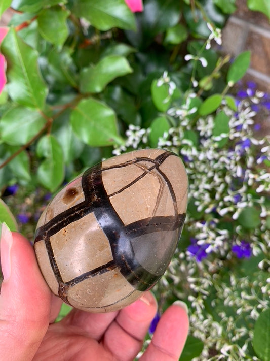 Septarian Druzy Dragon Egg - Madagascar