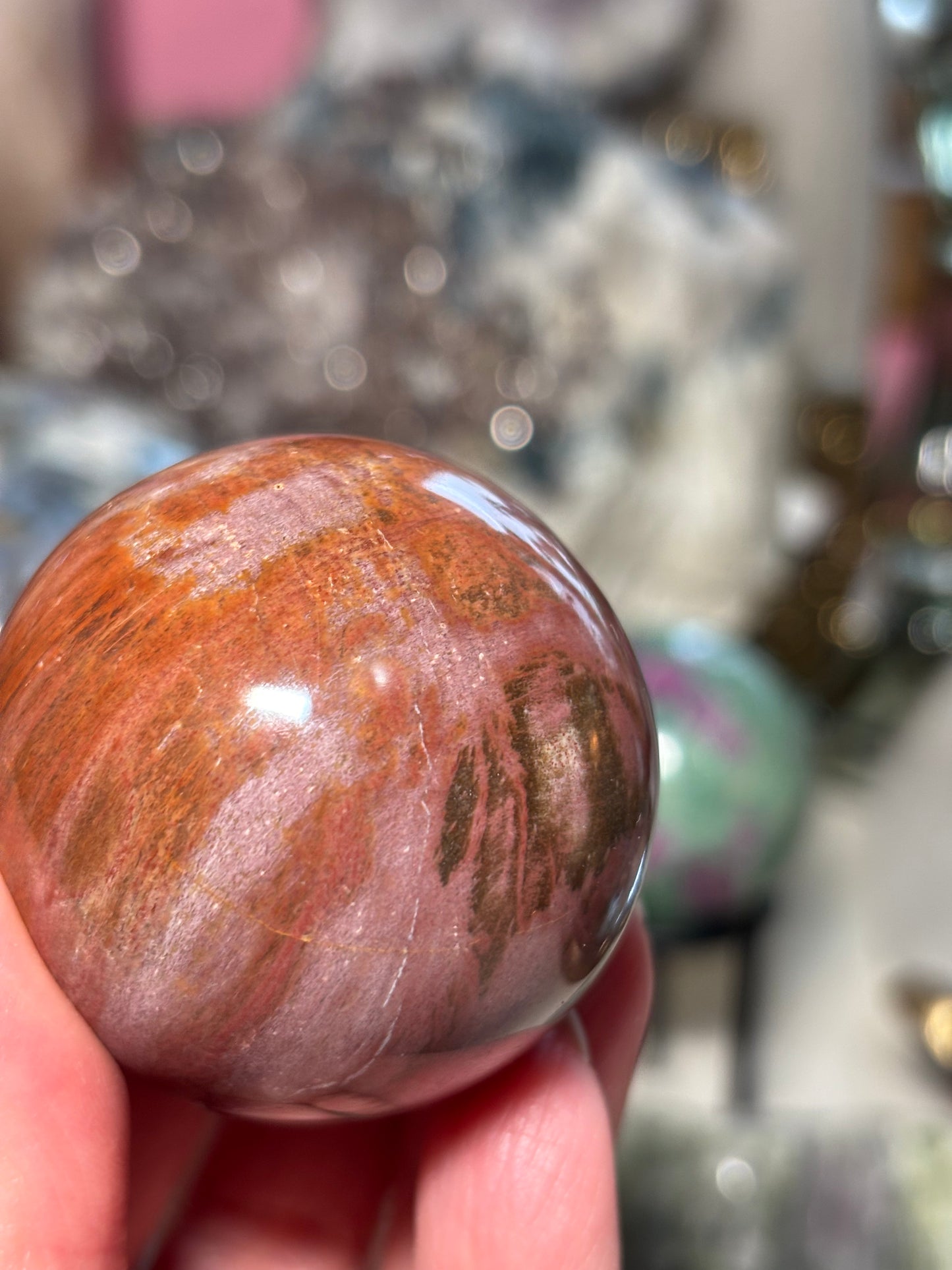Petrified Wood Sphere - Madagascar