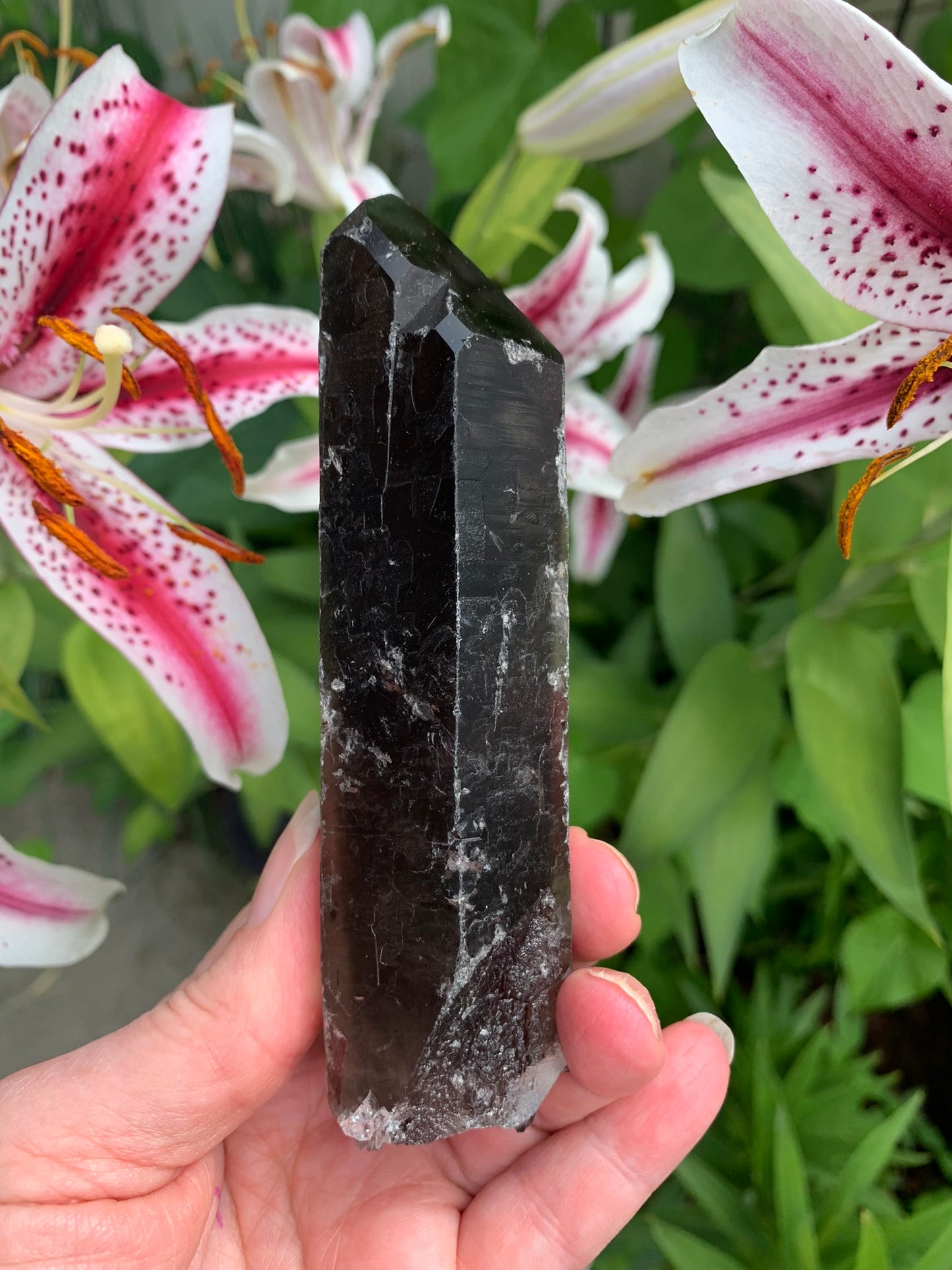 Smokey Quartz Point - Brazil