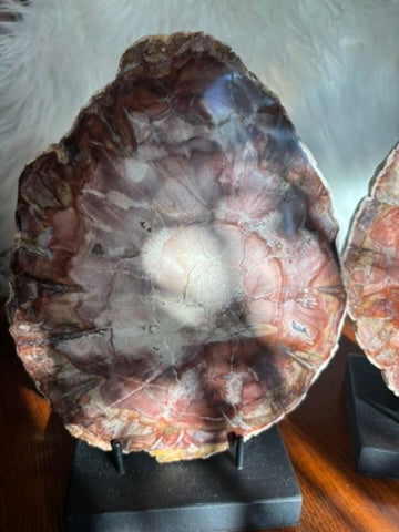 Petrified Wood charging plate set - Madagascar