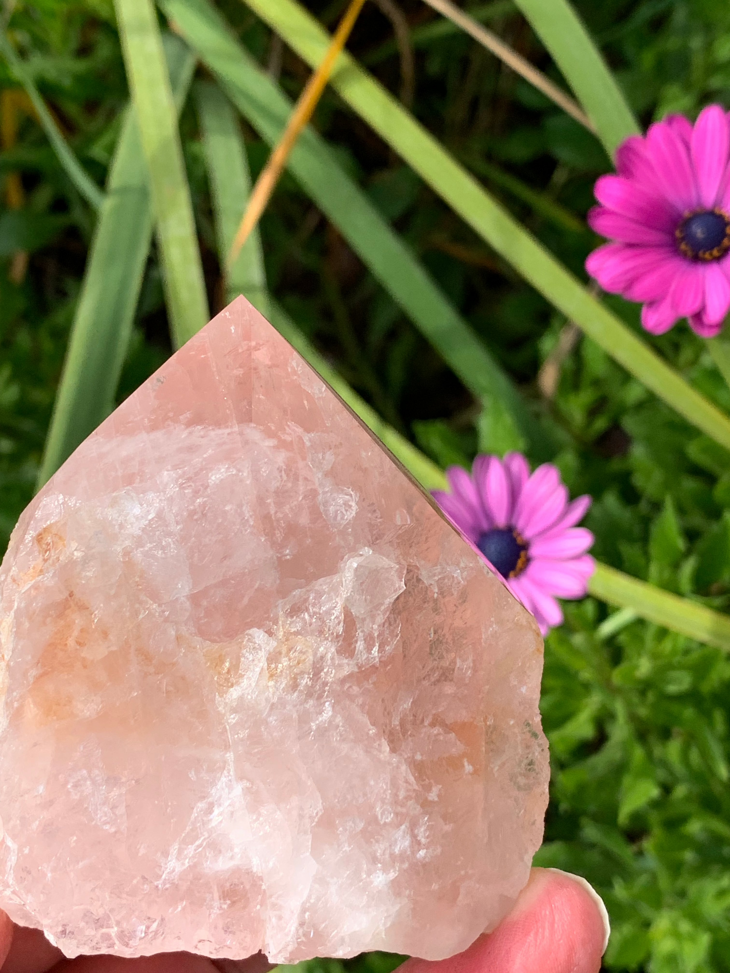 Rose Quartz Point with Golden Healer Inclusions