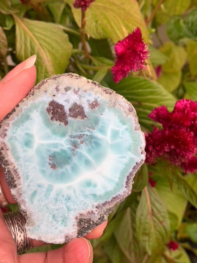 Larimar Slice - Polished one side